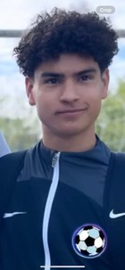 Nestor  Meza